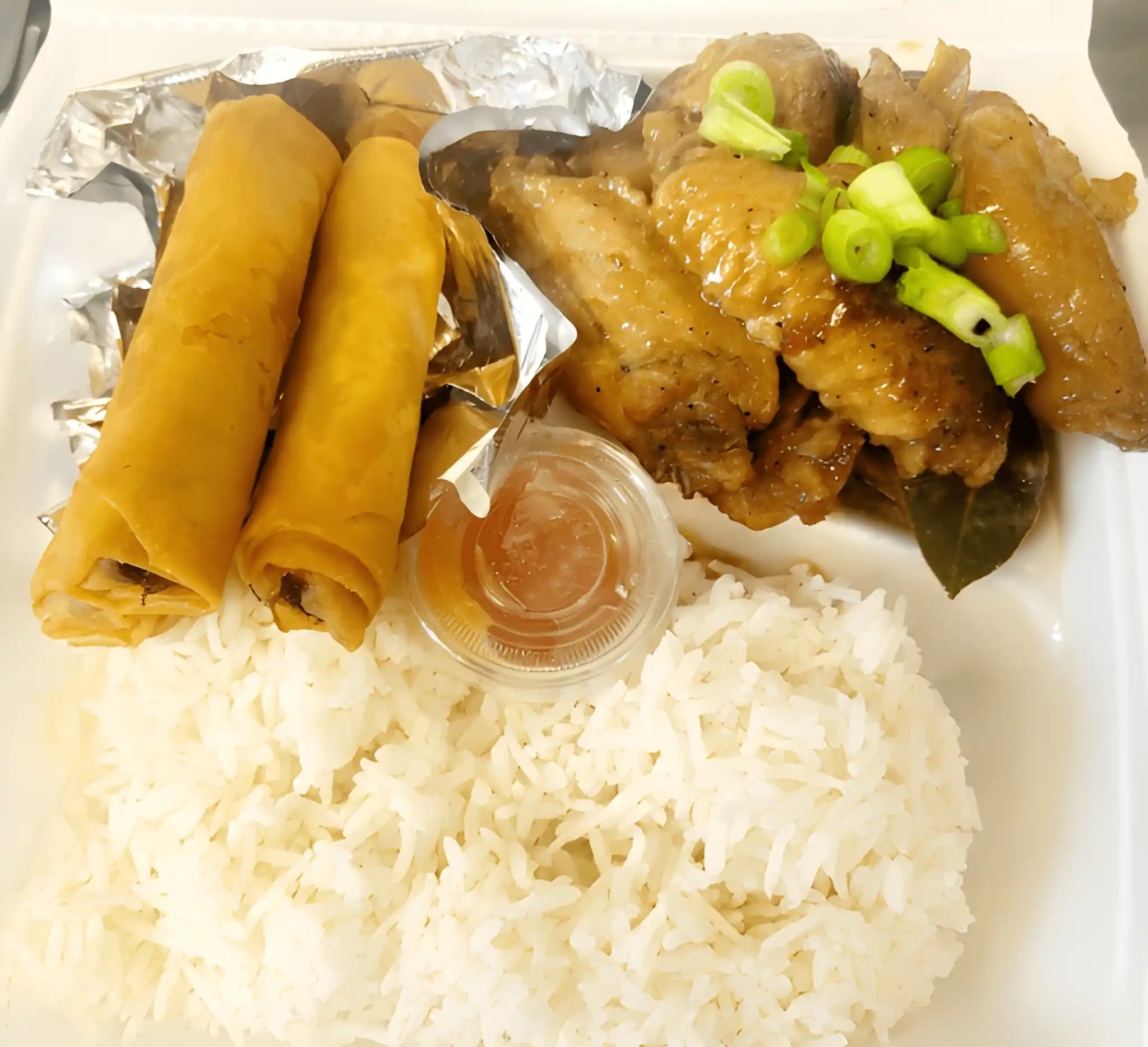 Combo Plate Combo 2 at Manila Good-Ha, Filipino & Chinese fast food in Union City, CA – Skiplyn